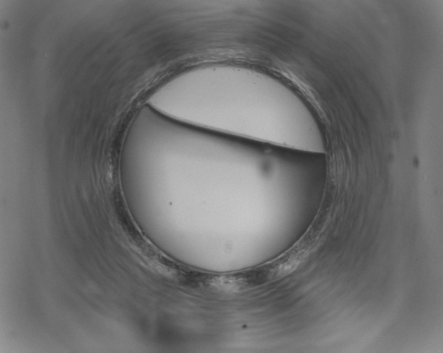 X0000068830261200605050925