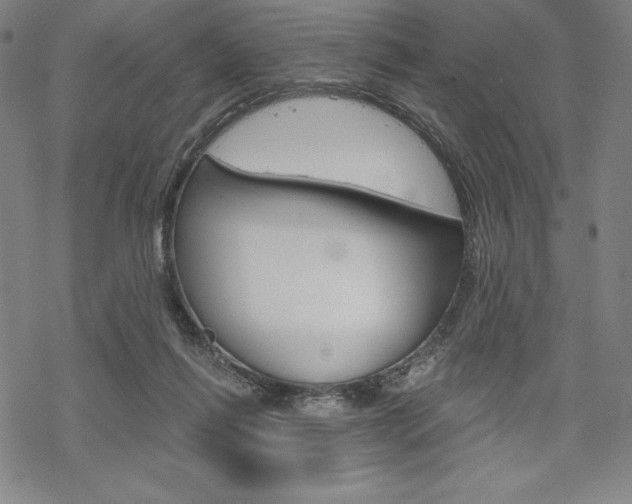 X0000068830262200605050925