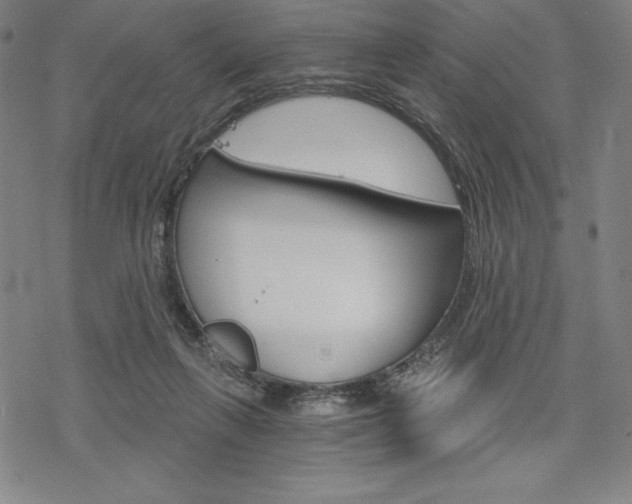 X0000068830263200605050925