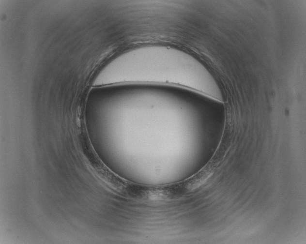 X0000068830264200605050925