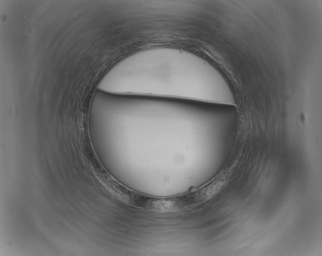 X0000068830265200605050926