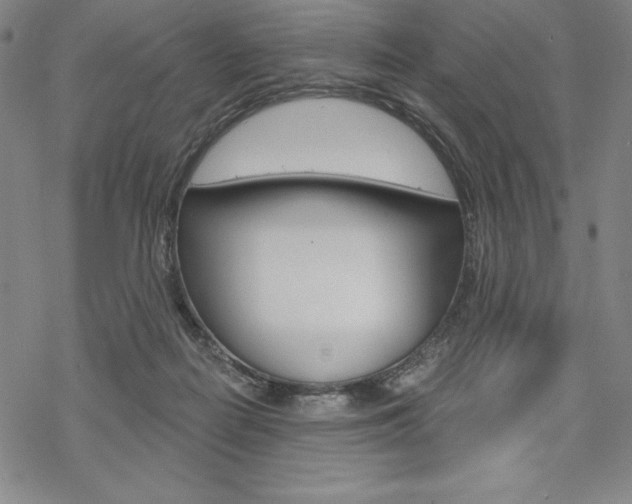 X0000068830266200605050926