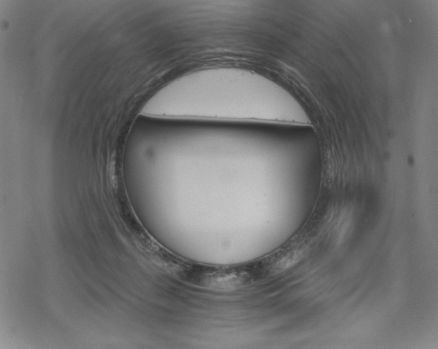 X0000068830267200605050926