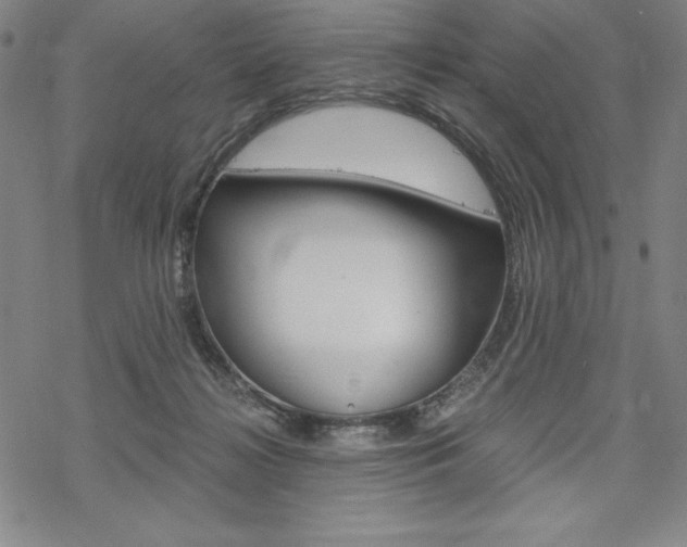 X0000068830268200605050926