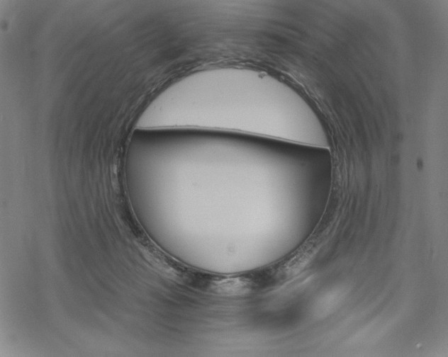 X0000068830269200605050926