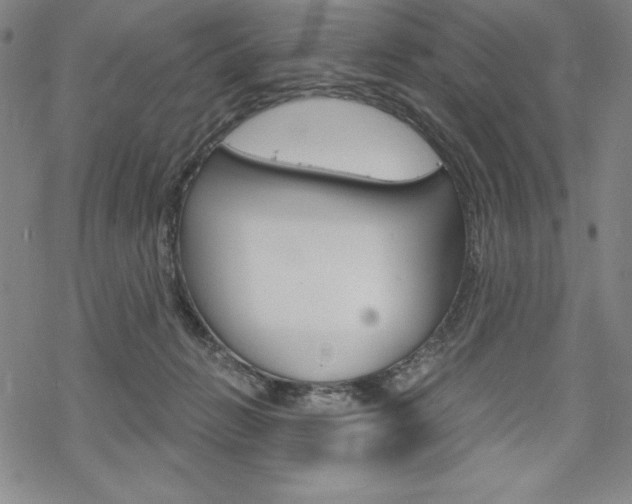 X0000068830270200605050926