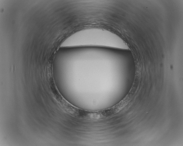 X0000068830272200605050926