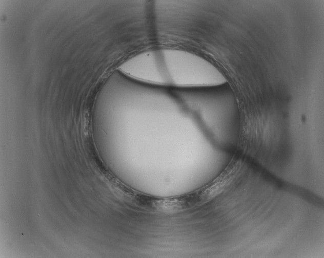 X0000068830273200605050926