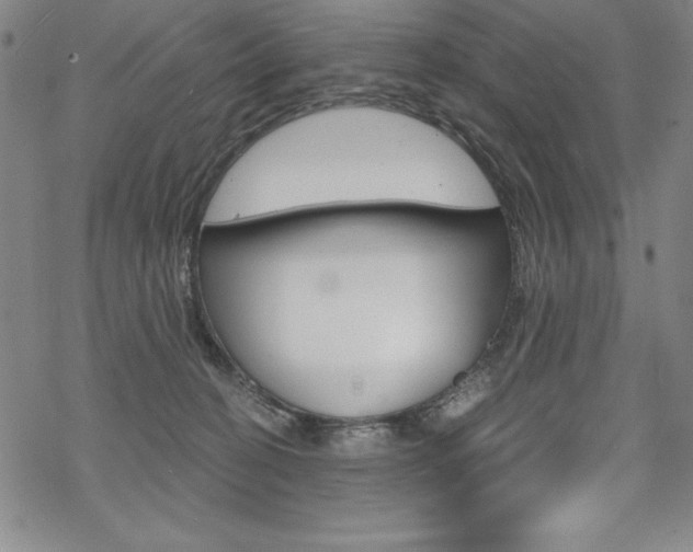 X0000068830274200605050926