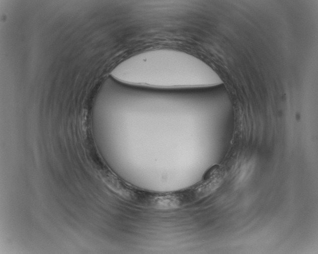 X0000068830275200605050926