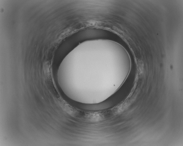 X0000068830276200605050926