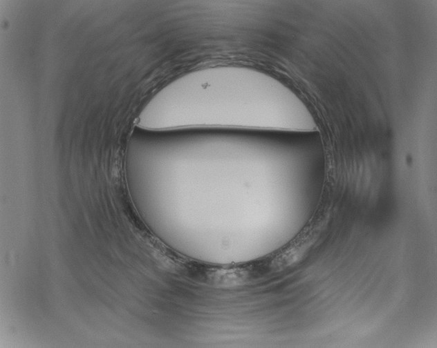 X0000068830277200605050926