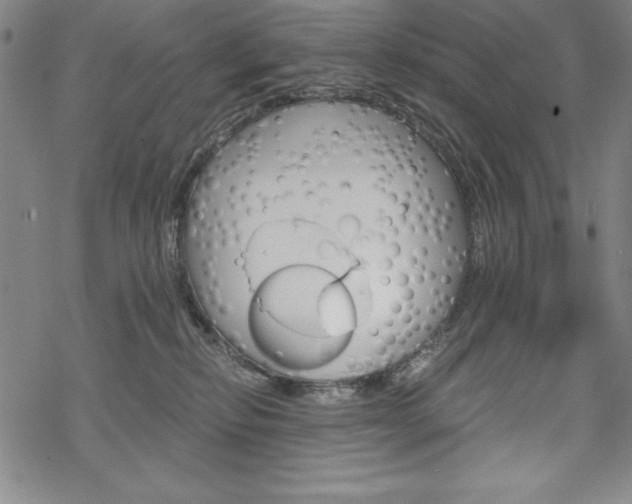 X0000068830278200605050926