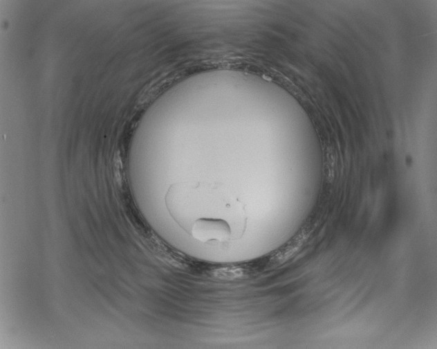 X0000068830279200605050926