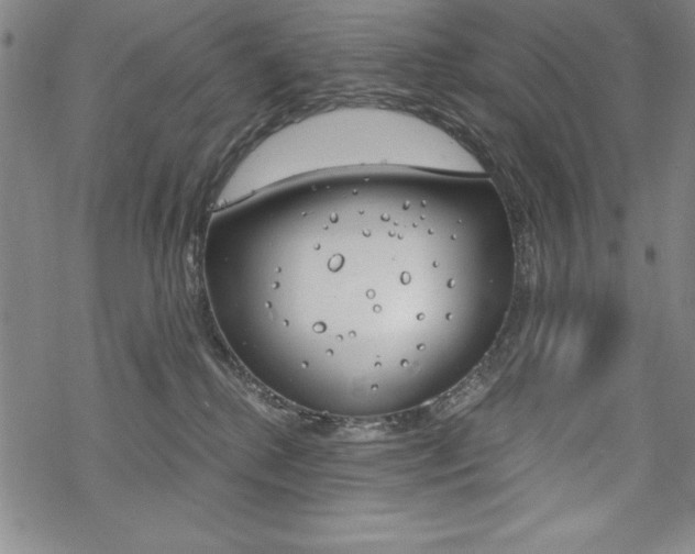 X0000068830280200605050926