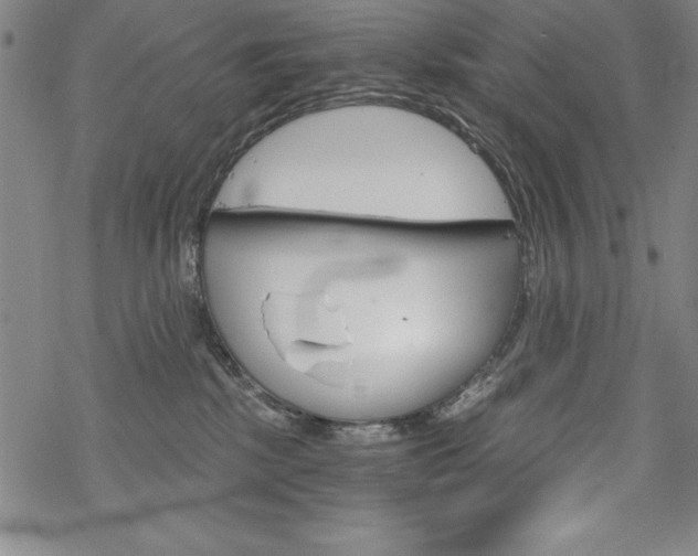 X0000068830281200605050926