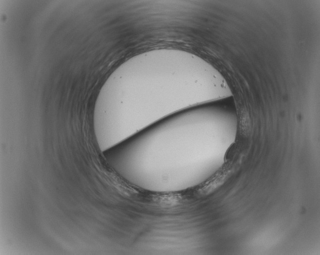 X0000068830282200605050926