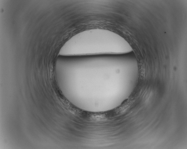 X0000068830283200605050926