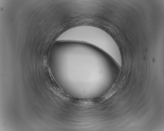 X0000068830284200605050926