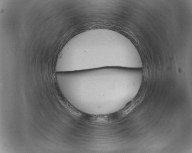 X0000068830285200605050926