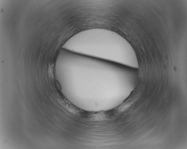 X0000068830286200605050926