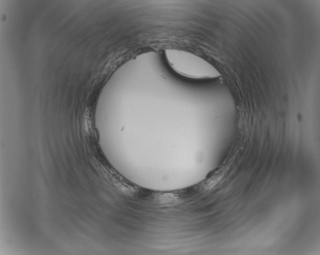 X0000068830287200605050926