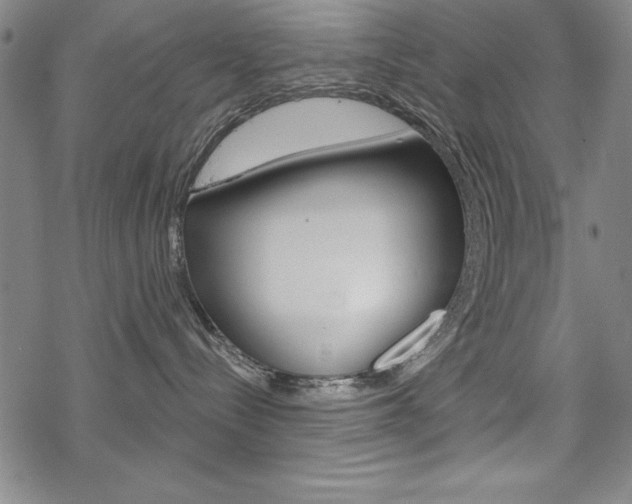 X0000068830288200605050926