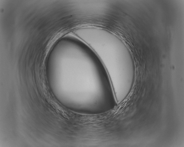 X0000068830289200605050925