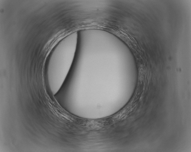 X0000068830290200605050925