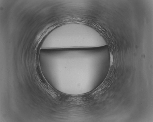 X0000068830291200605050925