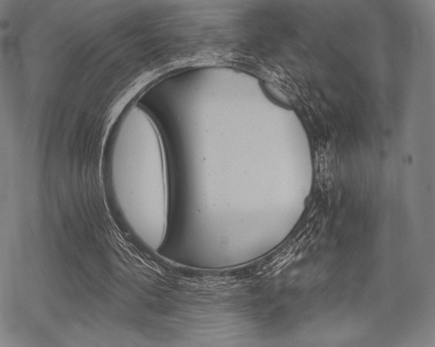 X0000068830292200605050925