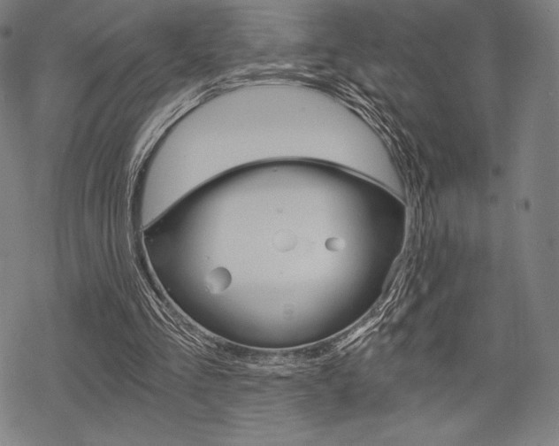 X0000068830293200605050925