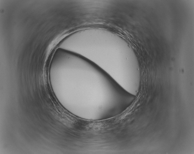 X0000068830294200605050925