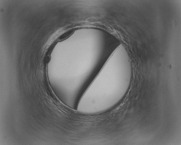 X0000068830295200605050925