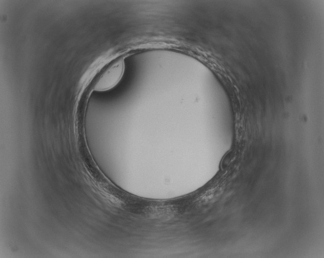 X0000068830296200605050925