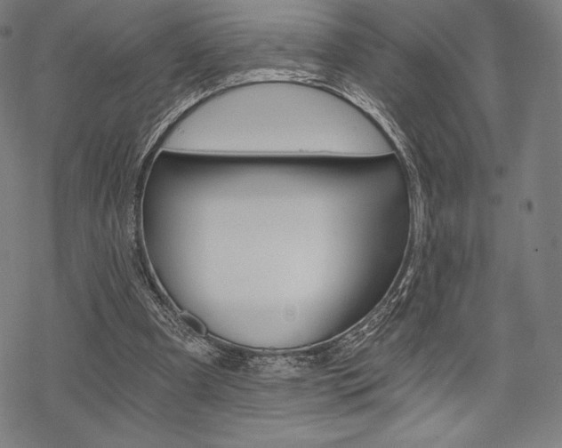 X0000068830297200605050925