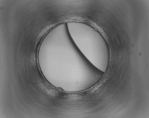 X0000068830298200605050925