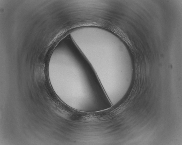 X0000068830300200605050925