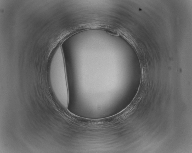 X0000068830301200605050925