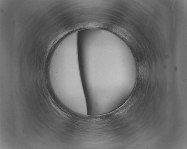 X0000068830302200605050925