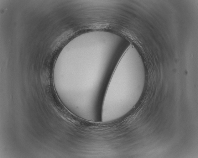 X0000068830303200605050925