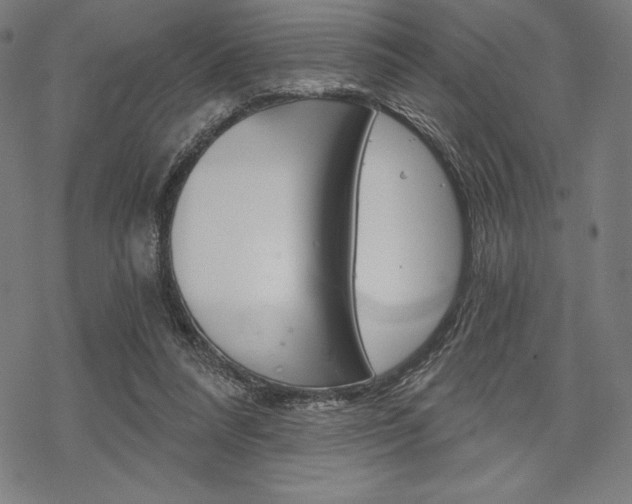 X0000068830304200605050925