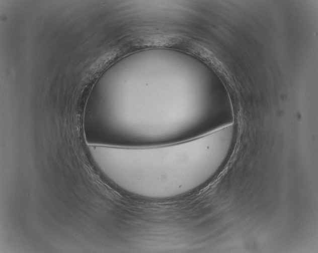 X0000068830305200605050925