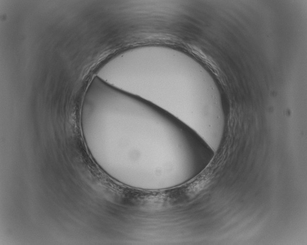 X0000068830306200605050925