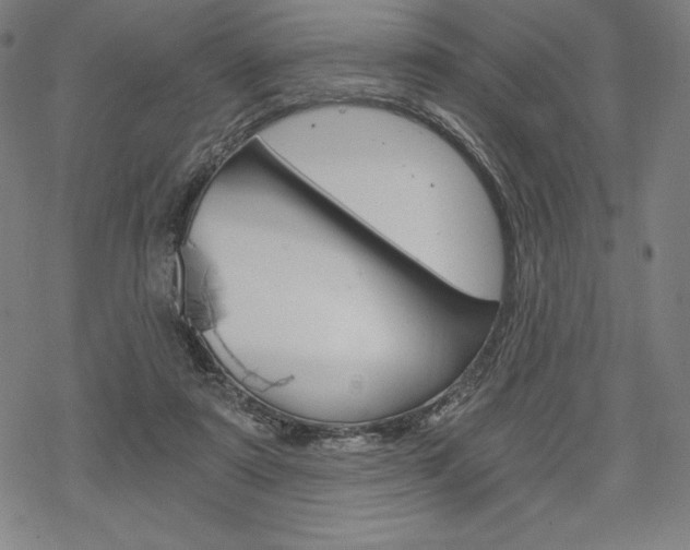 X0000068830307200605050925