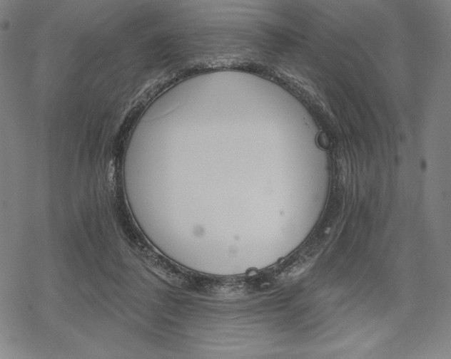 X0000068830308200605050925