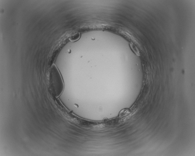 X0000068830309200605050925