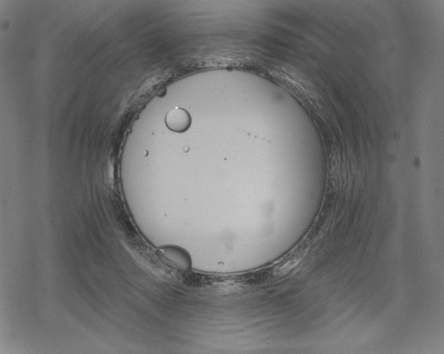 X0000068830310200605050925