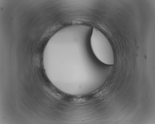 X0000068830311200605050925