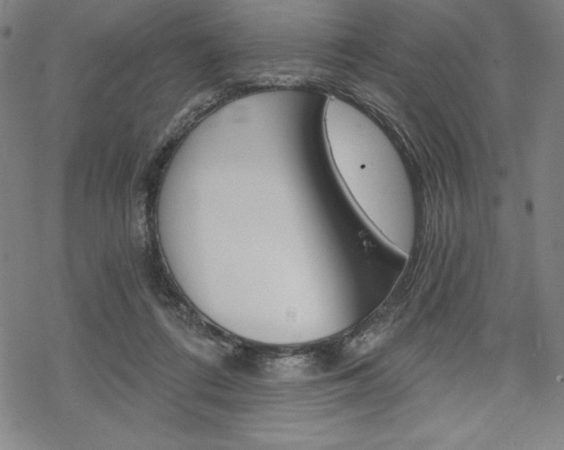 X0000068830312200605050925